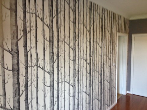 Wallpaper Installation in Canberra